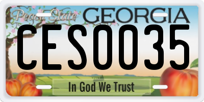 GA license plate CES0035