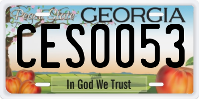 GA license plate CES0053
