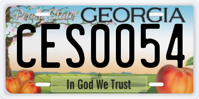 GA license plate CES0054
