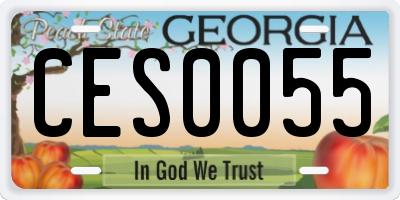GA license plate CES0055