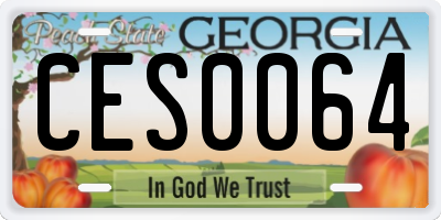 GA license plate CES0064
