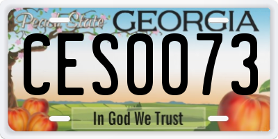 GA license plate CES0073