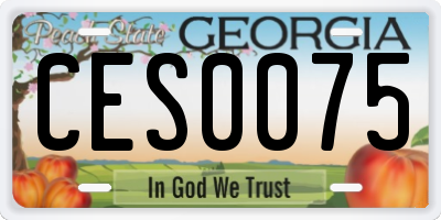 GA license plate CES0075