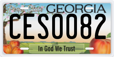 GA license plate CES0082