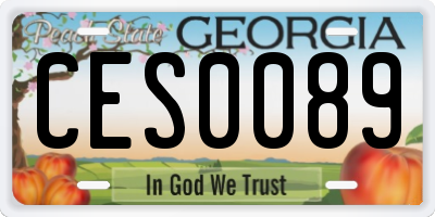 GA license plate CES0089