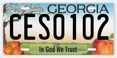 GA license plate CES0102