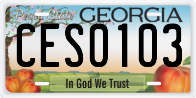 GA license plate CES0103