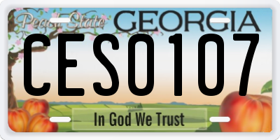 GA license plate CES0107
