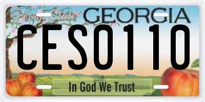 GA license plate CES0110