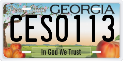 GA license plate CES0113