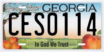 GA license plate CES0114