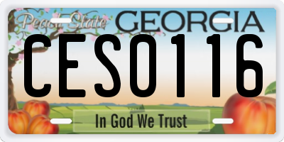 GA license plate CES0116