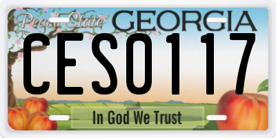 GA license plate CES0117