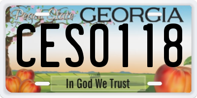 GA license plate CES0118