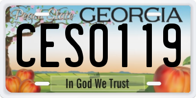 GA license plate CES0119