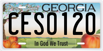 GA license plate CES0120
