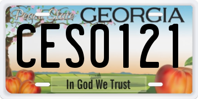 GA license plate CES0121
