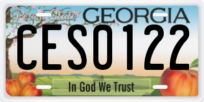 GA license plate CES0122
