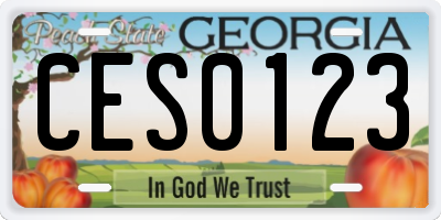 GA license plate CES0123