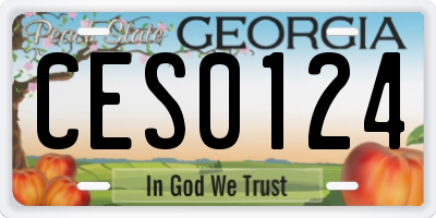 GA license plate CES0124