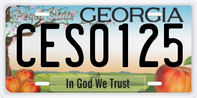 GA license plate CES0125