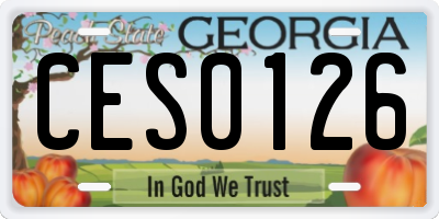 GA license plate CES0126
