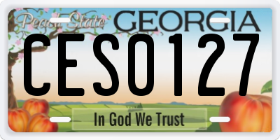 GA license plate CES0127