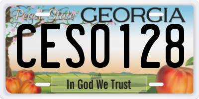 GA license plate CES0128