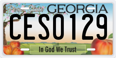 GA license plate CES0129