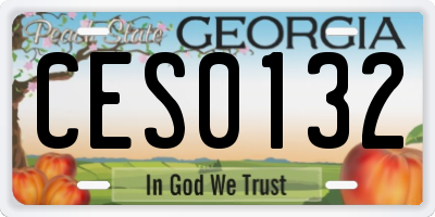 GA license plate CES0132