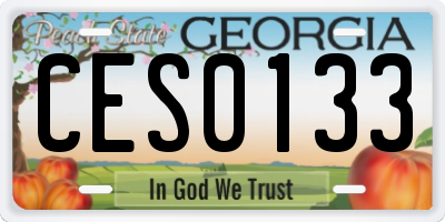 GA license plate CES0133