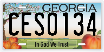 GA license plate CES0134