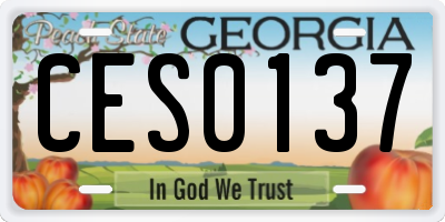 GA license plate CES0137