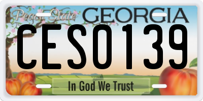GA license plate CES0139
