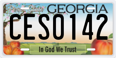 GA license plate CES0142
