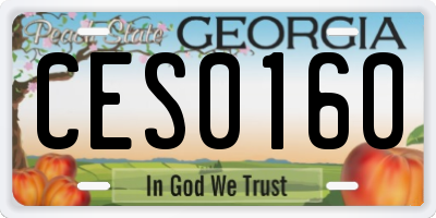 GA license plate CES0160