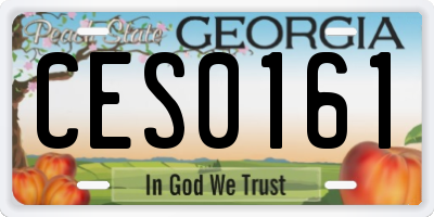 GA license plate CES0161