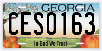 GA license plate CES0163