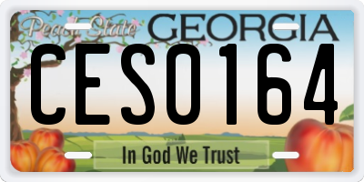GA license plate CES0164