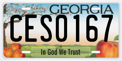 GA license plate CES0167