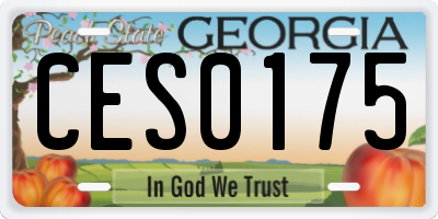 GA license plate CES0175