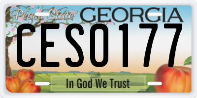 GA license plate CES0177