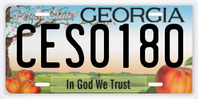 GA license plate CES0180