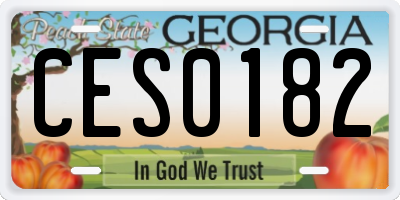 GA license plate CES0182