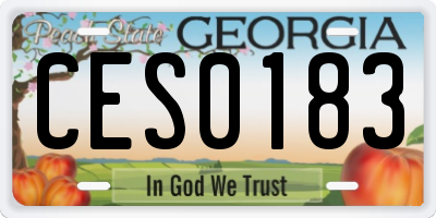 GA license plate CES0183