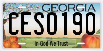 GA license plate CES0190