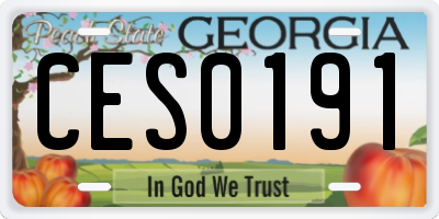 GA license plate CES0191