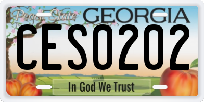 GA license plate CES0202