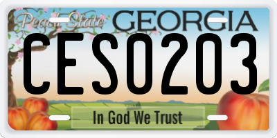 GA license plate CES0203