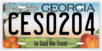 GA license plate CES0204